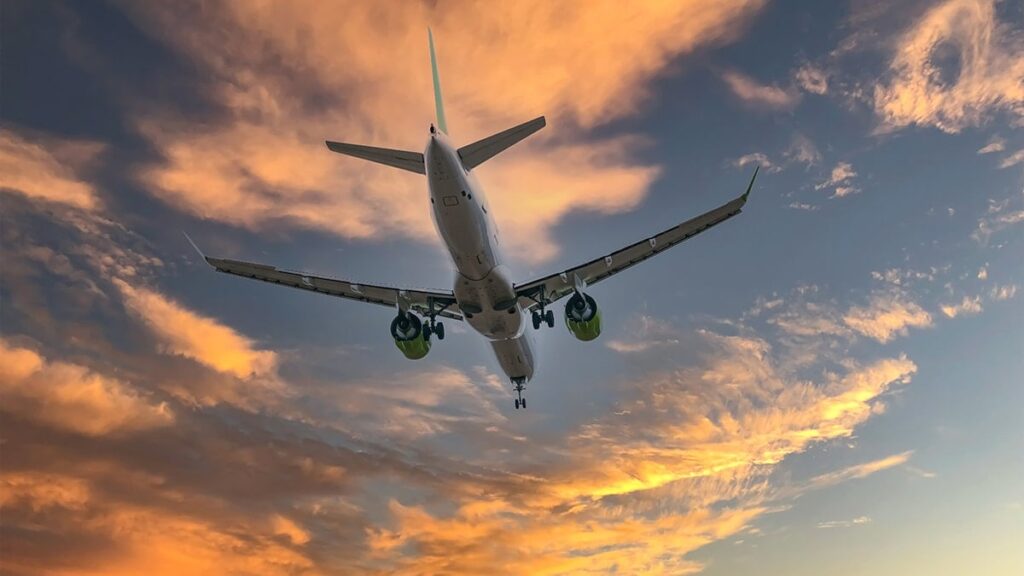 Uçağın iniş takımlarında iki ceset bulundu