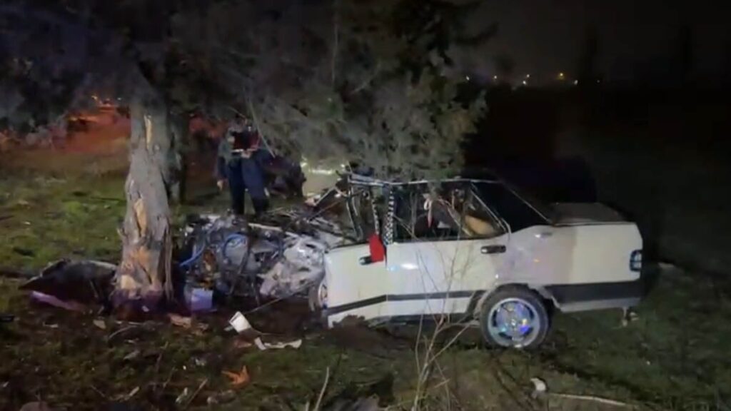 Yoldan çıkıp ağaca saplandı