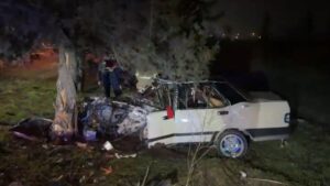 Yoldan çıkıp ağaca saplandı