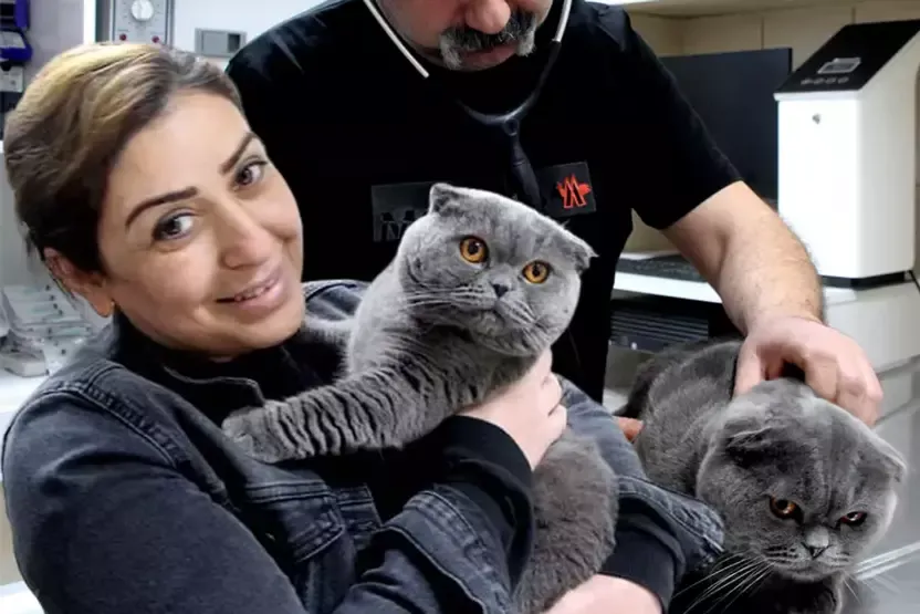 Adanalı veteriner de şaştı kaldı bu işe: 6 milyonda 1 görülen durum