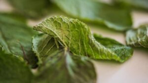 Bağışıklık sistemini güçlendirdiği ortaya çıkmıştı, beyin hasarını da durduruyor