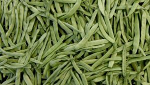 Cam parçaları içeren yeşil fasulyeler market raflarından toplanıyor