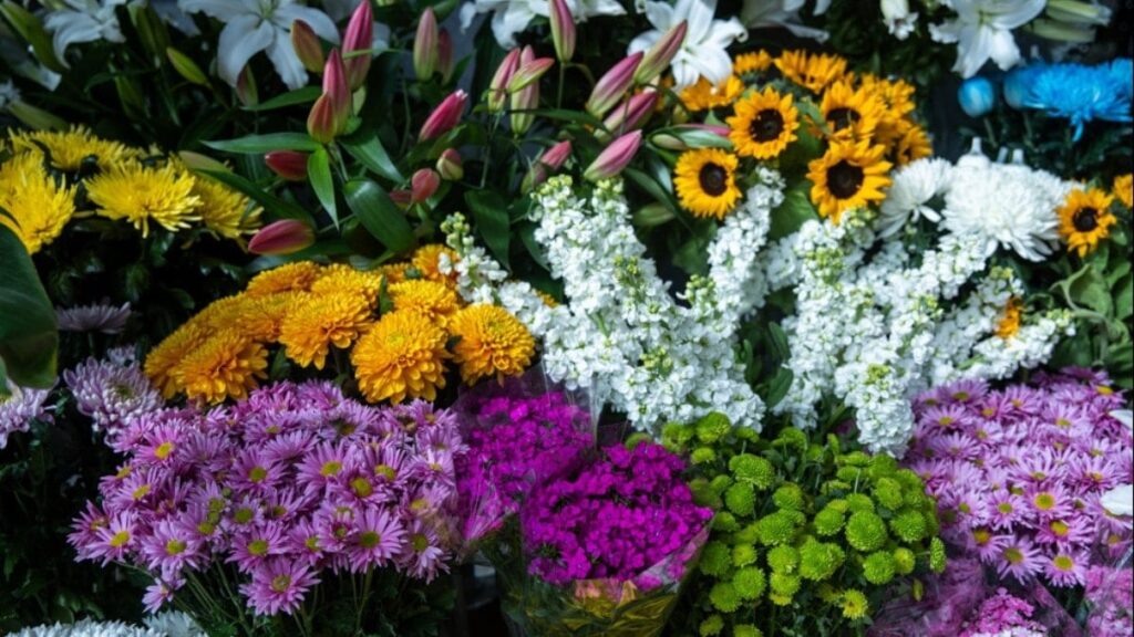 Çiçekli romantizm çiftlere yaramadı