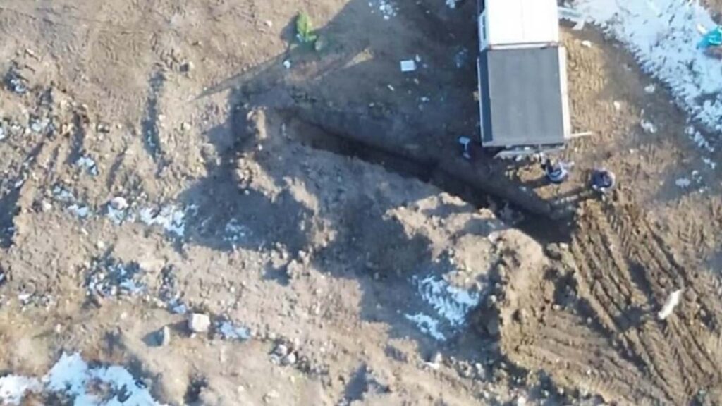MHP’li belediyeden köpek katliamı iddialarına açıklama