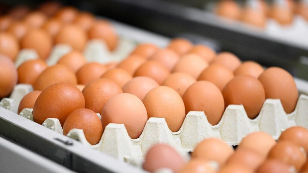 Marketlerde artık kahverengi yumurta satılmayacak: İşte nedeni
