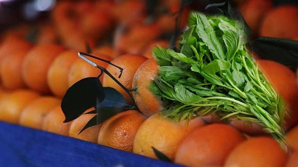 Bu sebze, bir portakalın içerdiğinden daha fazla C vitamini içeriyor
