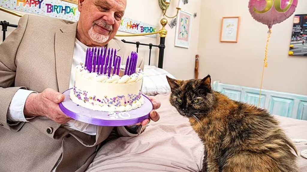 Dünyanın en yaşlı kedisi bir yaşına daha girdi