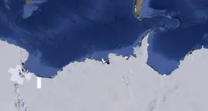 Girilmeyen bölgeye girdiler, devasa canlılar buldular! Yüzyıllardır burada yaşıyorlarmış