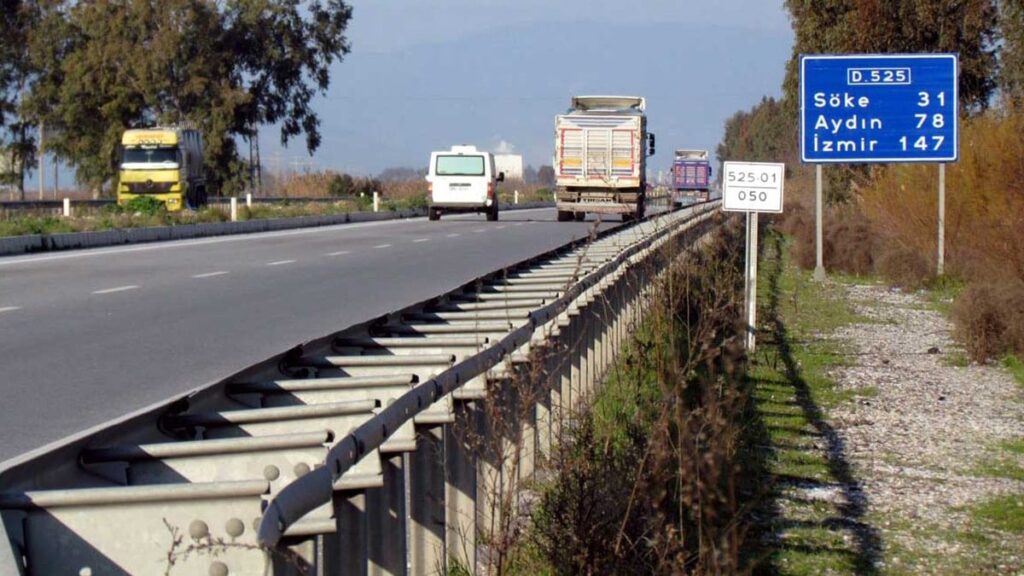 Otoyollar doğal yaşam mezarlığı oldu, çevreciler isyan etti