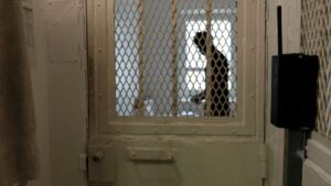 Hapishaneler tamamen doldu: Mahkumlar kendi hücreleri için kira ödeyecek