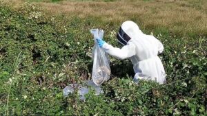 Rekor sayıda görüldüler: Gıda güvenliğini tehdit ediyorlar