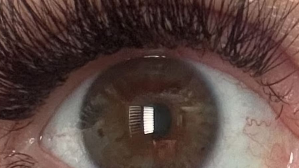 Yeni rengi sadece 5 kişi görüyor 6’ıncı siz olabilirsiniz