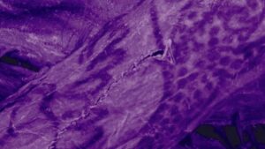 2.500 yıllık mumyanın bedeninde bulundu: Bugünkü dövmelere taş çıkartıyor