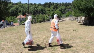 81 ilde SAT1 hastalığı yayılıyor: Zararı 4 milyar dolar!