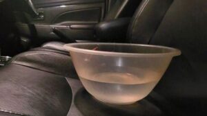 Aracınıza bir kase su koyun: Yakıt tasarrufunu izleyin