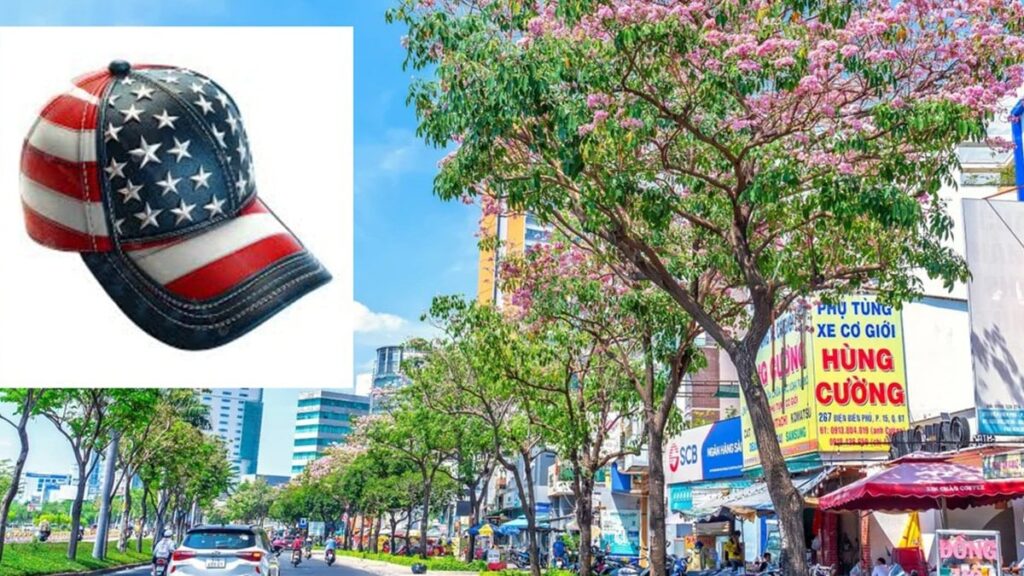 Bu ülkede beyzbol şapkası takmak yasaklandı: Turistler dahil takana 2 bin 800 Euro ceza var