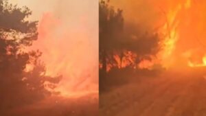 İzmir Buca’da yangının ortasında kaldılar! Ekiplerin korku dolu anları kamerada