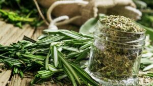 Karaciğeri resetleyip kan şekerini düşürüyor: İşte sihirli baharatın bilinmeyen faydaları