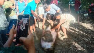 Kaybolan çiftçi 8 metrelik pitonun karnından çıkarıldı