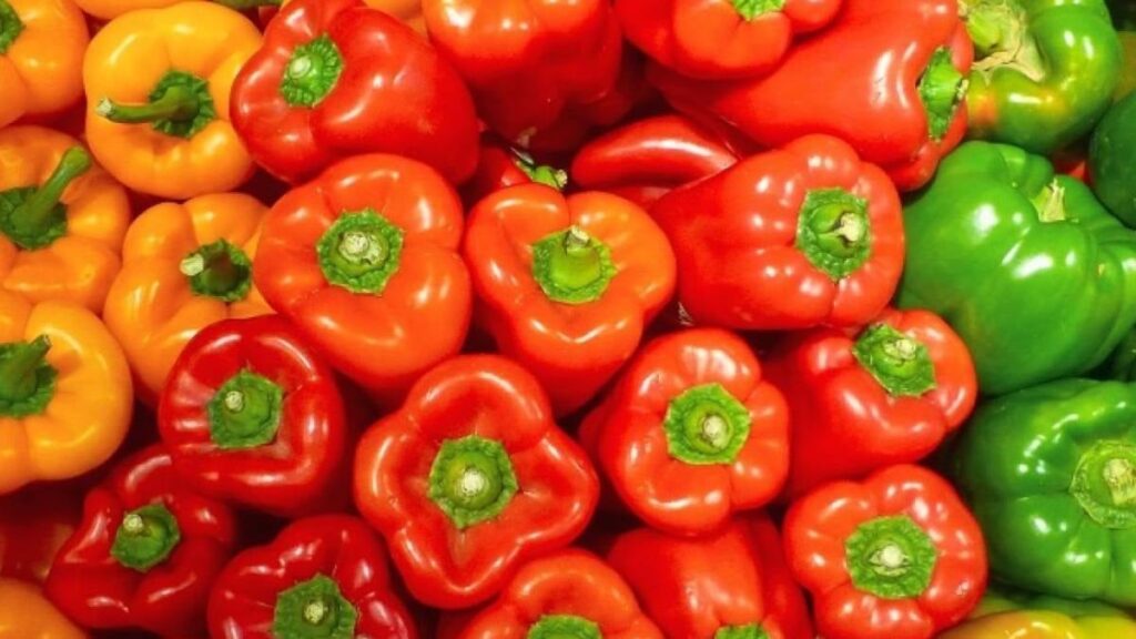 Kırmızı yeşil ve sarı dolmalık biberlerden hangisi daha sağlıklı?