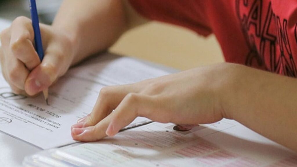 LGS sonuçları açıklandı: Liselere Giriş Sınavı sorgulama ekranı