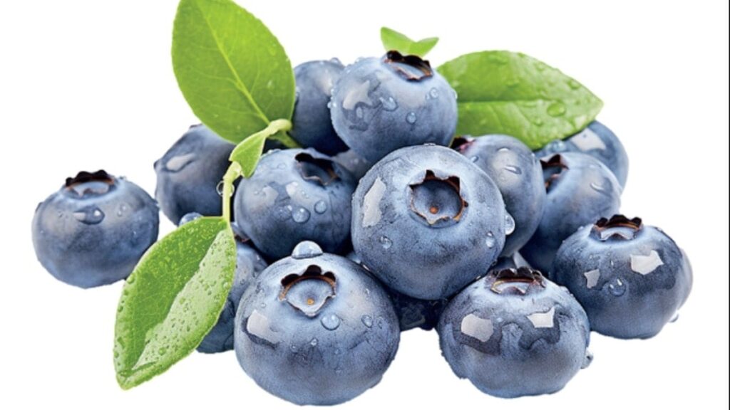 Mor besinlerin farkı