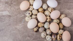 Tavuk yumurtası mı yoksa bıldırcın yumurtası mı? Hangisi daha sağlıklı