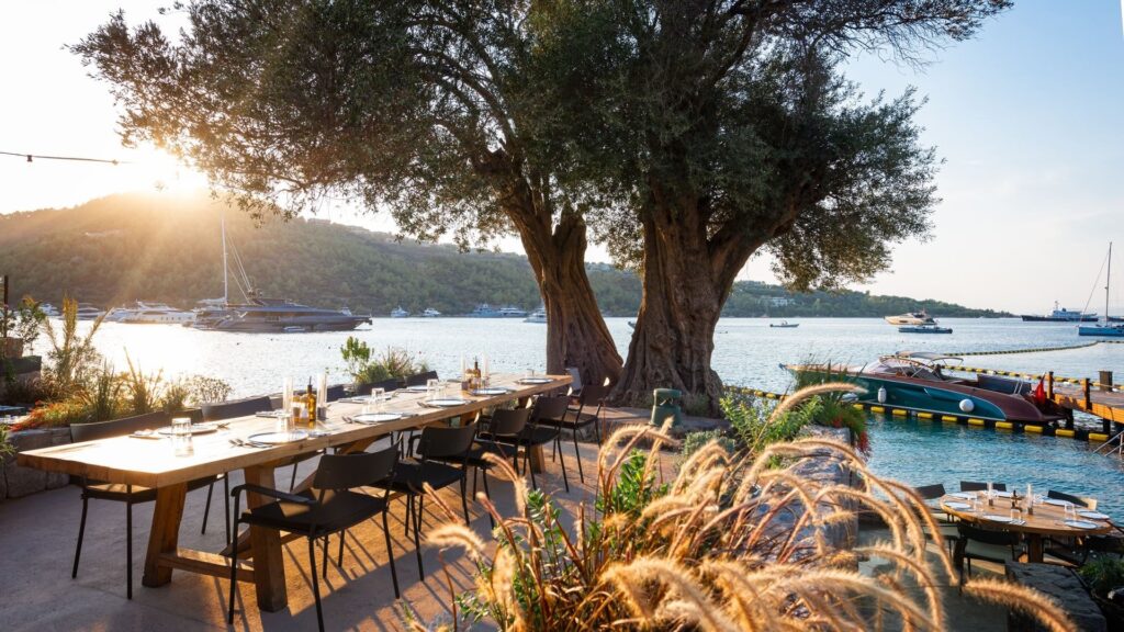 Boğaz’daki lüks balıkçı yıkılıyor!