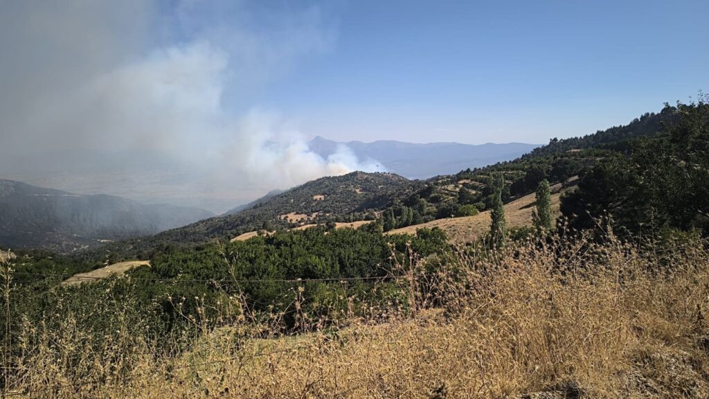 Denizli’deki orman yangını Aydın’a sıçradı!