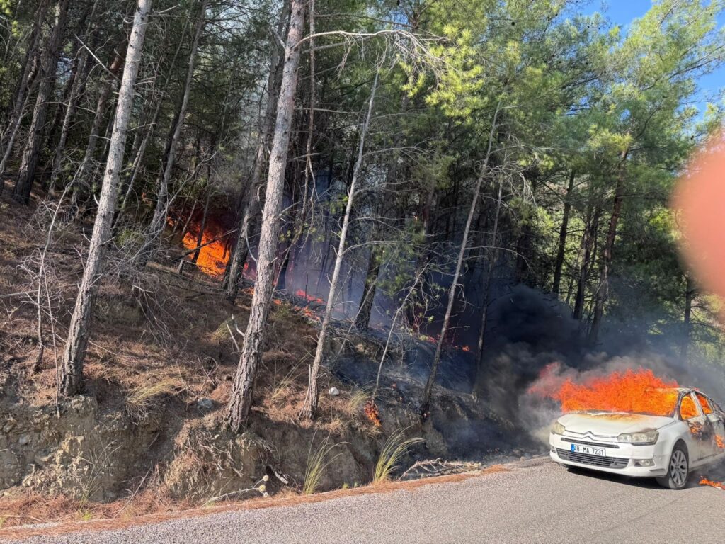 Muğla’dan yanan otomobil ormanı yaktı