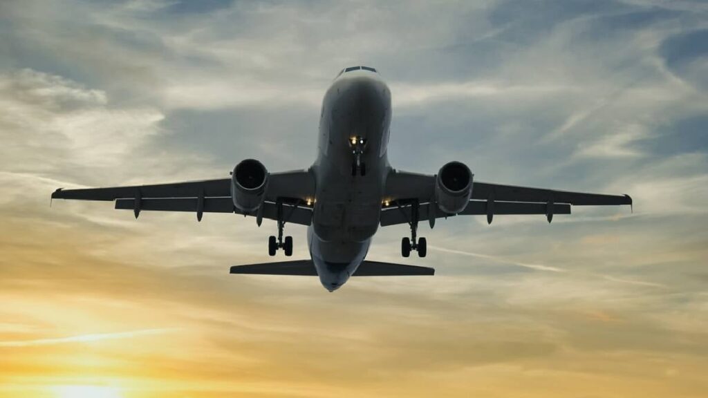 Uçakta köpek maması skandalı: Menüyü görenler kusmak için sıraya girdi