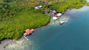 40 yıl sonra ilk kez başarısız oldu: ‘Okyanusların kalp atışı’ durdu