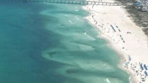 40 yıldır ilk kez gerçekleşmedi: ‘Gıda zincirleri çökecek’