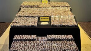 Bir kentte 300 bin adet uyuşturucu hap yakalandı