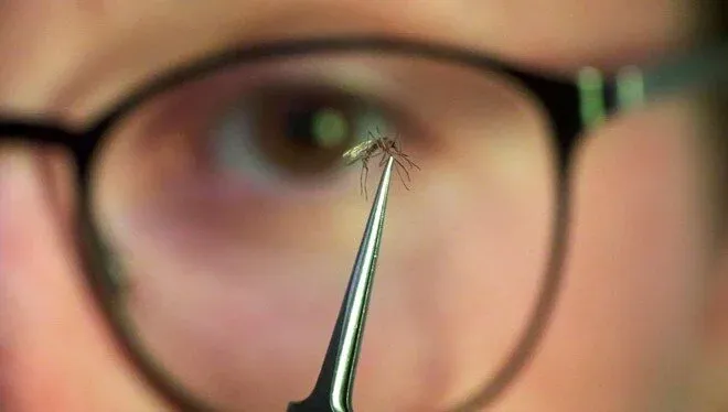 Çin’de yayılmaya başlayan salgın dünyayı endişelendiriyor