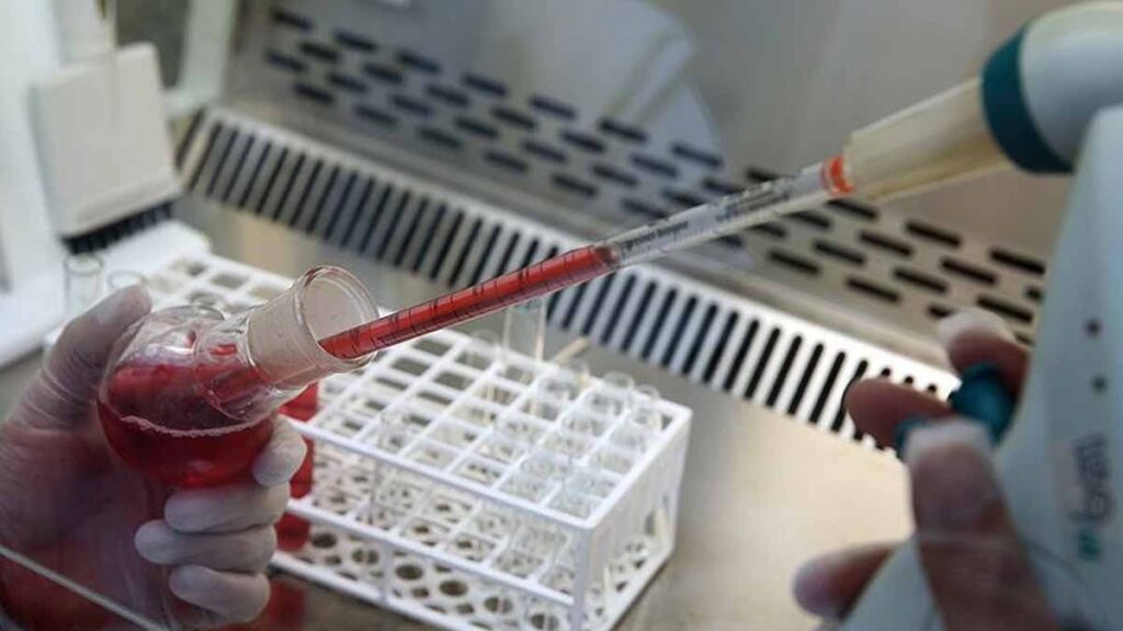 Dünyada sadece 43 kişide var! Hem paha biçilemez bir hazine hem de büyük bir risk: ‘Altın kan’