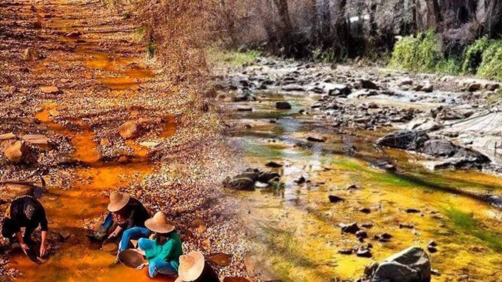 Efsanelere konu olmuştu, gerçek çıktı: Ülkenin nehirlerinden altın akıyor