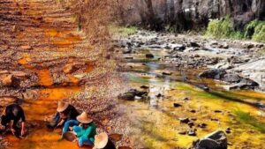 Efsanelere konu olmuştu, gerçek çıktı: Ülkenin nehirlerinden altın akıyor