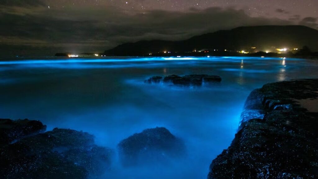 Geceleri bu sahili gören gözlerine inanamıyor