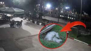 Gökten lapa lapa buz düştü