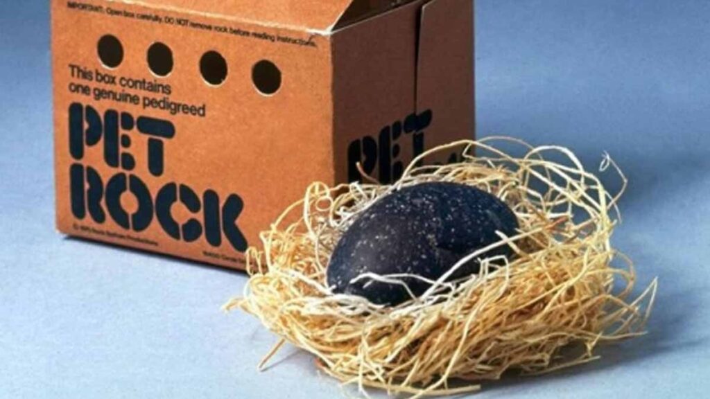 Her şey bir barda şakayla başladı, ‘bakım gerektirmeyen evcil hayvan’ fikri onu milyoner yaptı