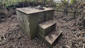 Ormanın ortasındaki beton 1.1 milyon TL’ye satışa kondu: Altından bambaşka bir dünya çıktı