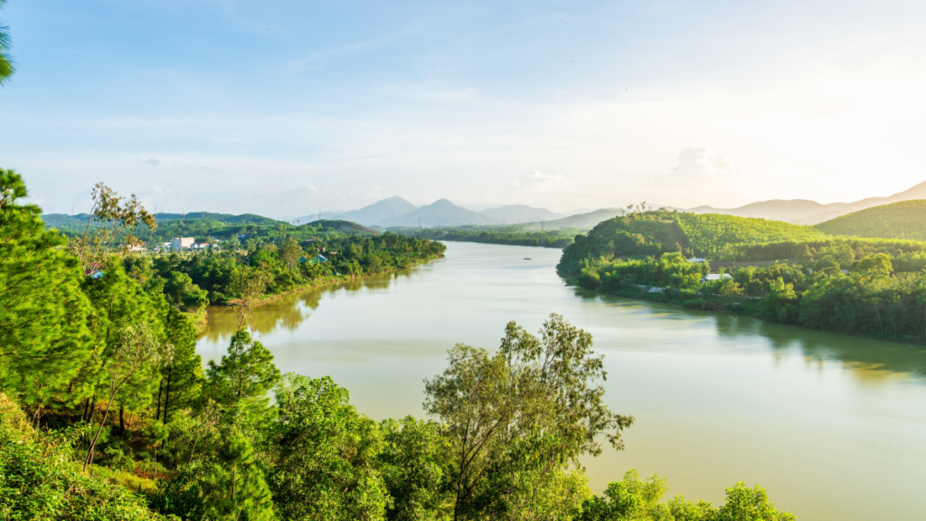Sırf bu nehrin kokusu için binlerce kilometre yol gidiyorlar: İşte nedeni