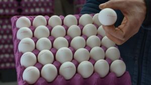 “Stoklayın” uyarısı yapılmıştı: Yumurta fiyatlarına zam geldi