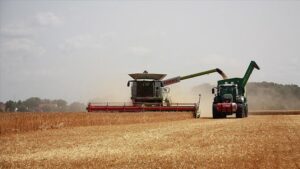 TÜİK açıkladı: Ayva kivi ve turunçgillerin fiyatı yüzde 131 arttı