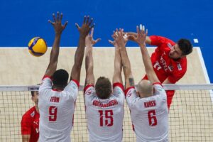 Teşekkürler Filenin Efeleri