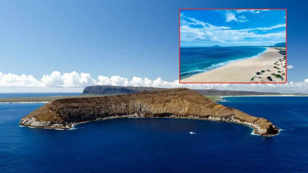 Turistler giremiyor, yaşayanlar ise kira ödemiyor: Yasaklı ada adeta bir sığınak ama tek bir şart var