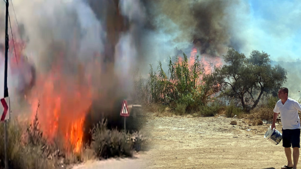 Yola atılan sigara izmariti yangın çıkardı
