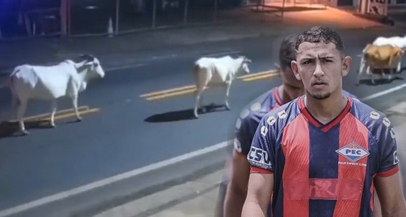 20 yaşındaki futbolcu ineğe çarptı, hayatını kaybetti!