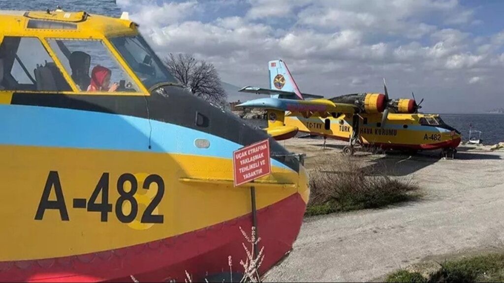 Ateş Kuşları Saray’ın himayesinde çürüyor